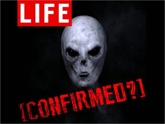 Life Confirmed With Chase Kloetzke